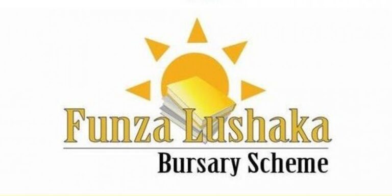 track-your-funza-lushaka-bursary-application-student-opportunities