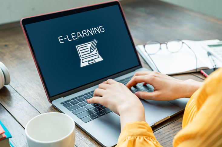 E-Learning Learnership Opportunity