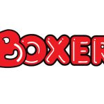 Apply for Boxer Superstore internship (2025)